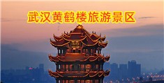 狂肏我屄视频播放