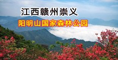 啊啊啊干逼网站